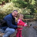 Duckies