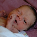 Wink