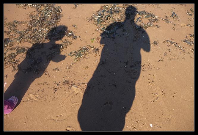 Beachcombing