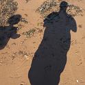 Beachcombing