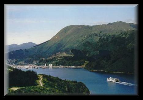 11picton