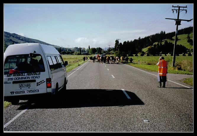 nzsouthisland1