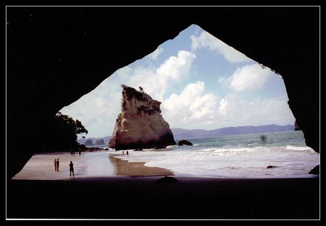 whitianga6