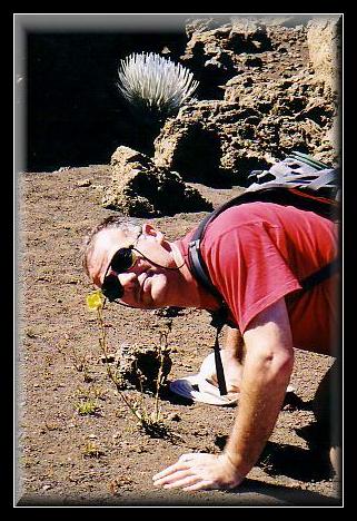 13fred_and_the_flower